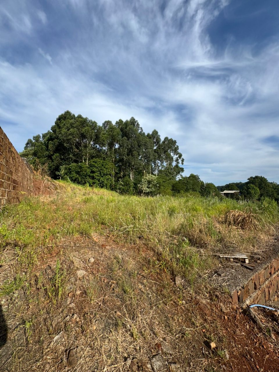 WhatsApp Image 2025-12-06 at 17.12.43