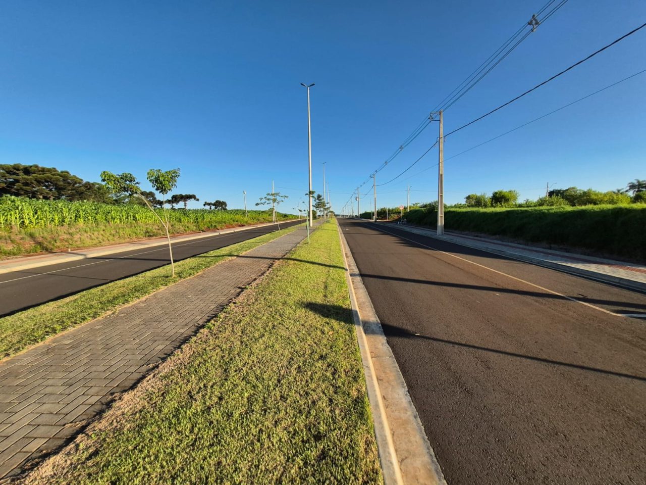 WhatsApp Image 2026-01-05 at 11.35.45 (3)