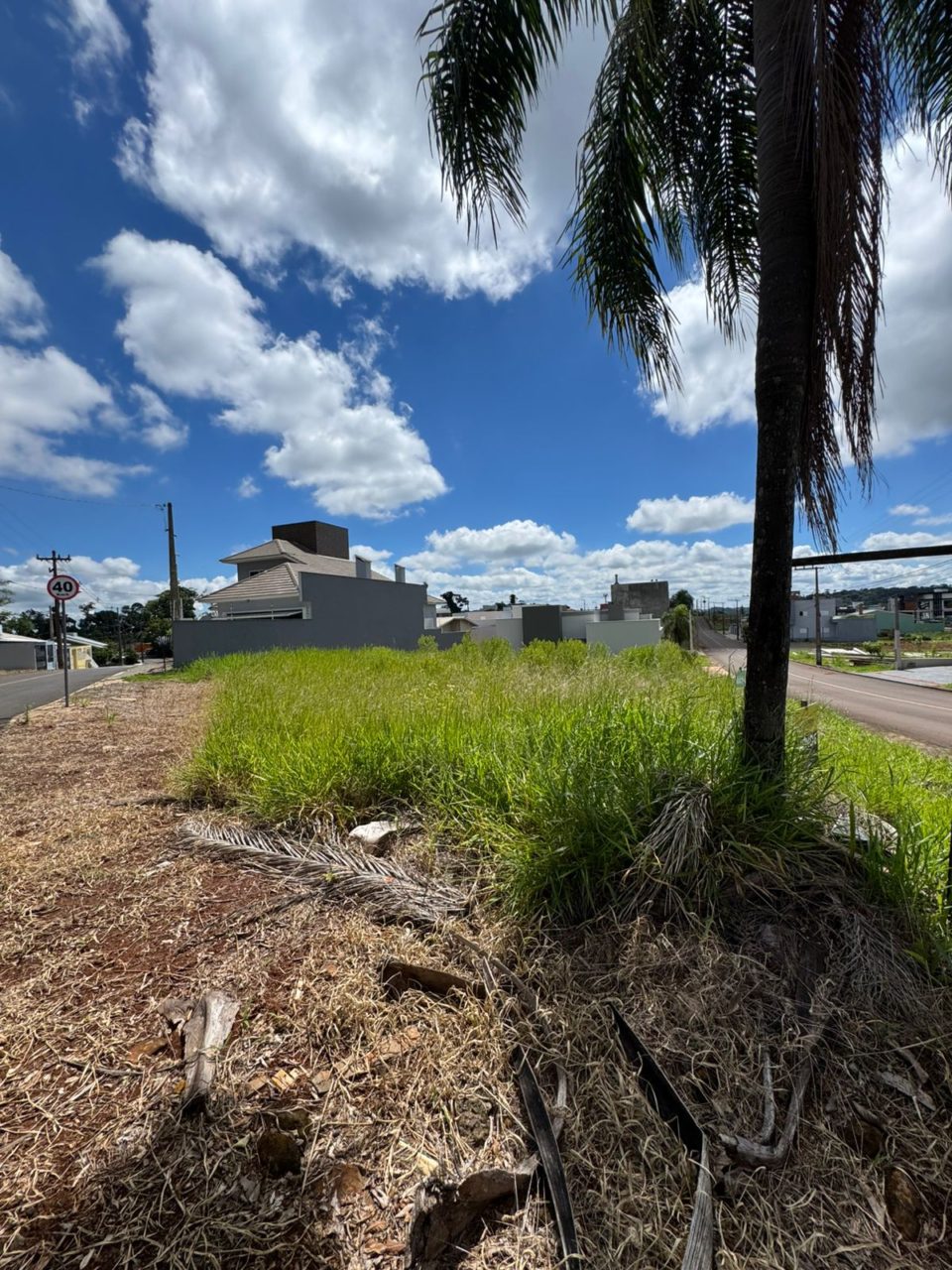 WhatsApp Image 2026-01-12 at 10.47.43